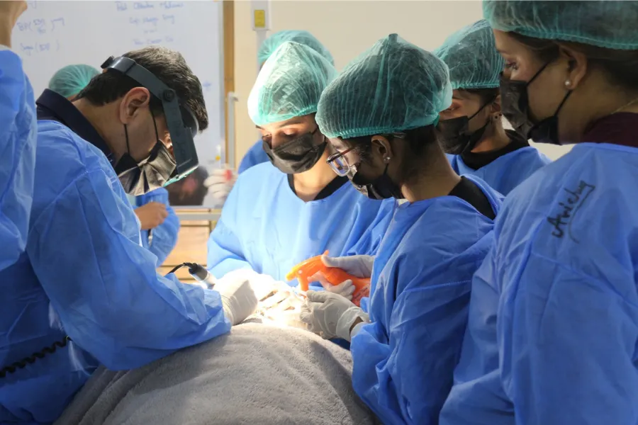Hair Surgery Cost: What to Expect & How to Choose the Right Clinic 2 Hair-Transplant-Donor