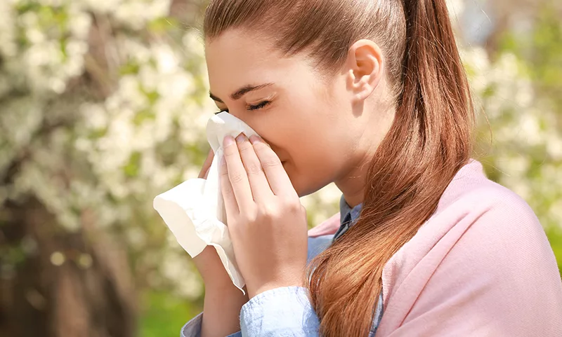 Can Allergies Cause Hair Loss? Understanding Risks, Remedies & Recovery 1 Can Allergies Cause Hair Loss