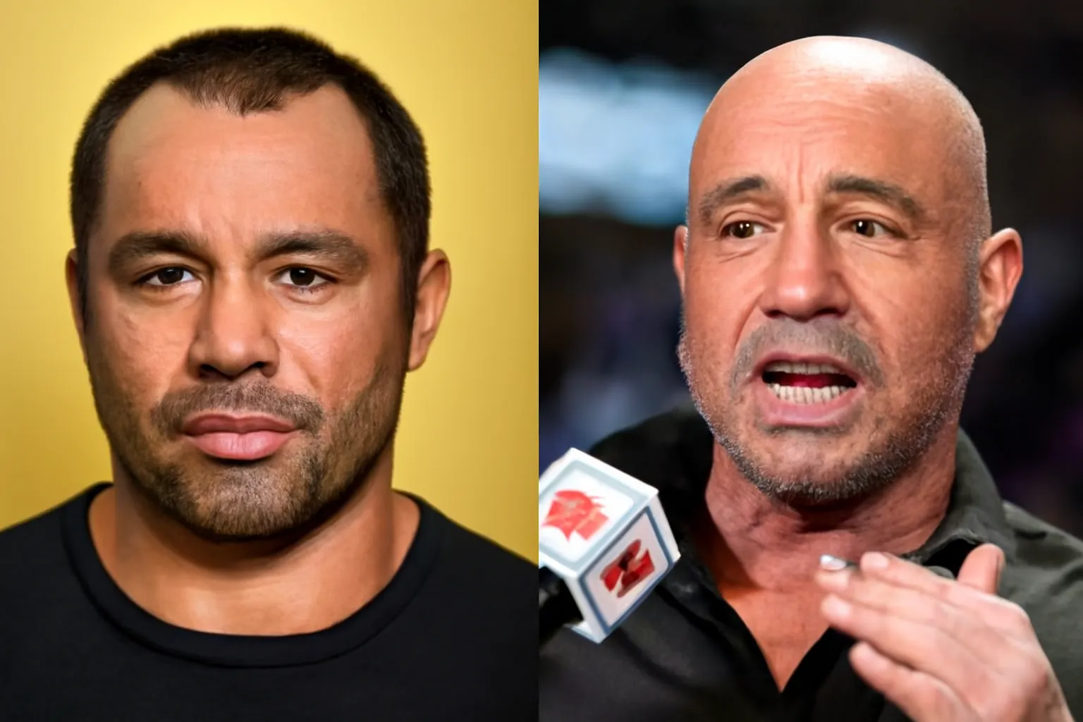 Joe Rogan Hair Loss: What Really Happened and What You Can Learn From It